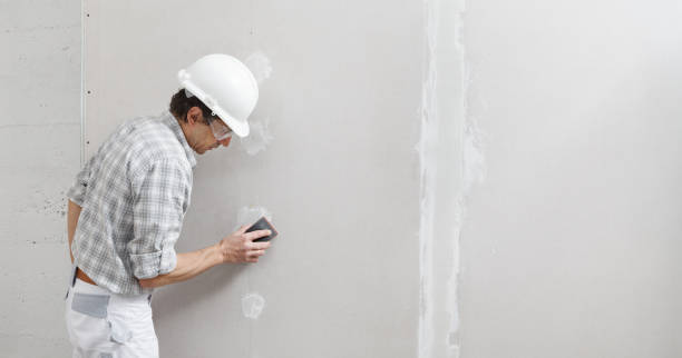 Best Drywall Removal and Disposal  in Hopewell, TN