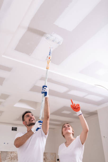 Best Ceiling Drywall Installation  in Hopewell, TN